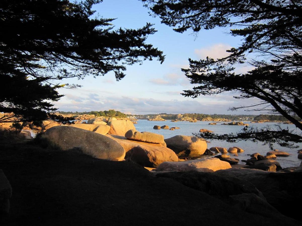 Trestraou, Cote De Granit Rose, Studio Vue Mer, Rez-De-Chaussee Perros-Guirec Exteriör bild